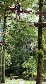 The Castlecomer Discovery Park Tree Top Adventure. Picture by Alf Harvey.